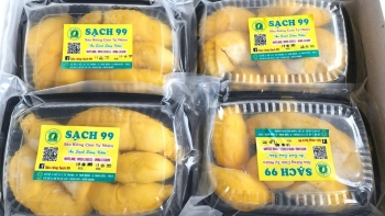 Đưa 2 tấn cơm sầu riêng bay thẳng ra Hải Phòng, Cần Thơ giải được bài toán đầu ra