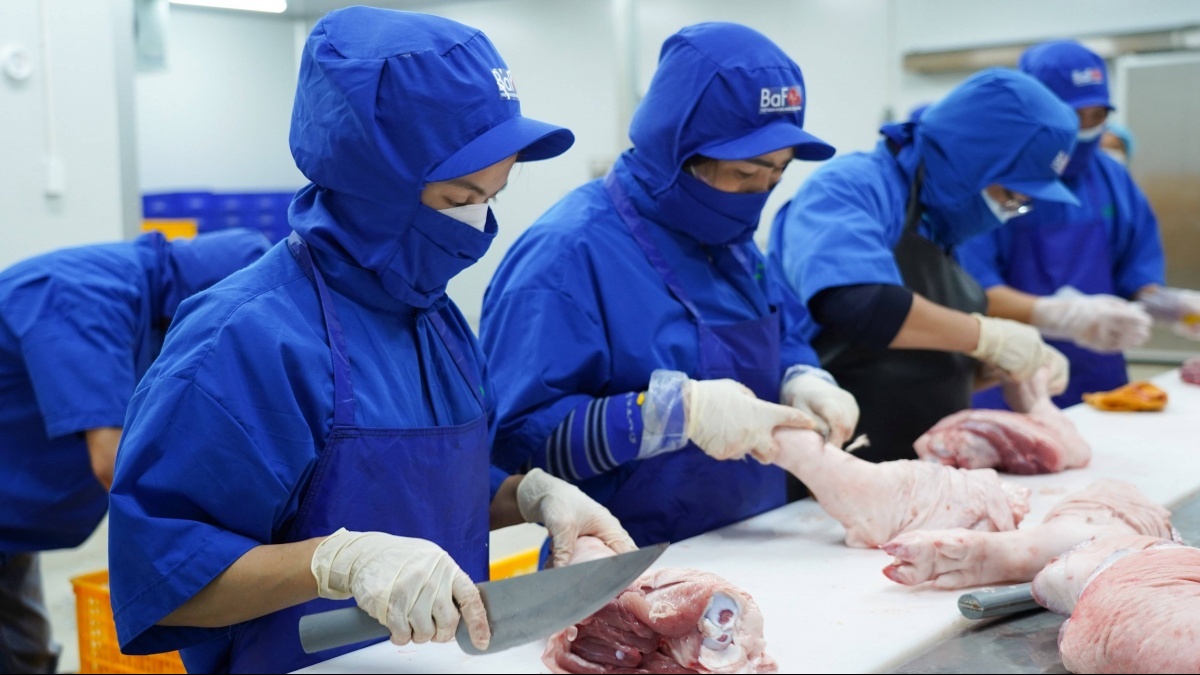 Bài toán thịt heo sạch ở BAF: Một cái chuồng – nhiều câu chuyện