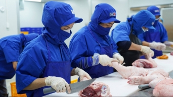 Bài toán thịt heo sạch ở BAF: Một cái chuồng – nhiều câu chuyện