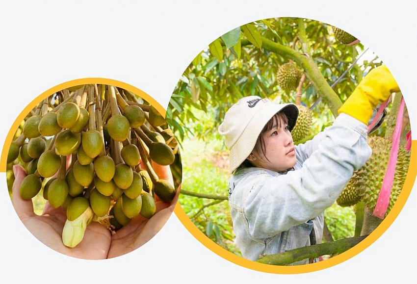 Cái khó tiếp theo của bầu Đức ở HAGL: Nhiều ý tưởng nhưng ít người làm