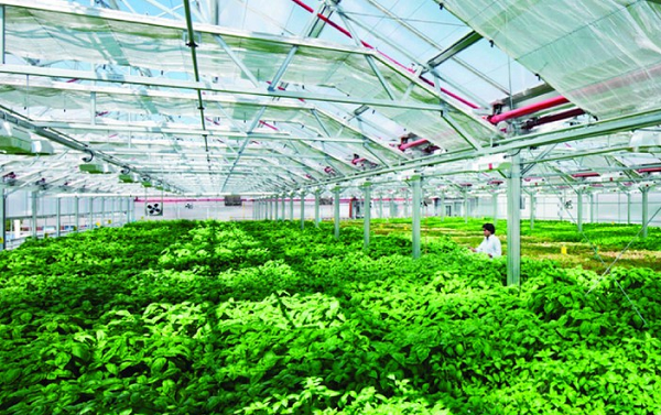 3 ngành học 'hái ra tiền': Lương hậu hĩnh tới 100 triệu đồng/tháng, doanh nghiệp săn đón