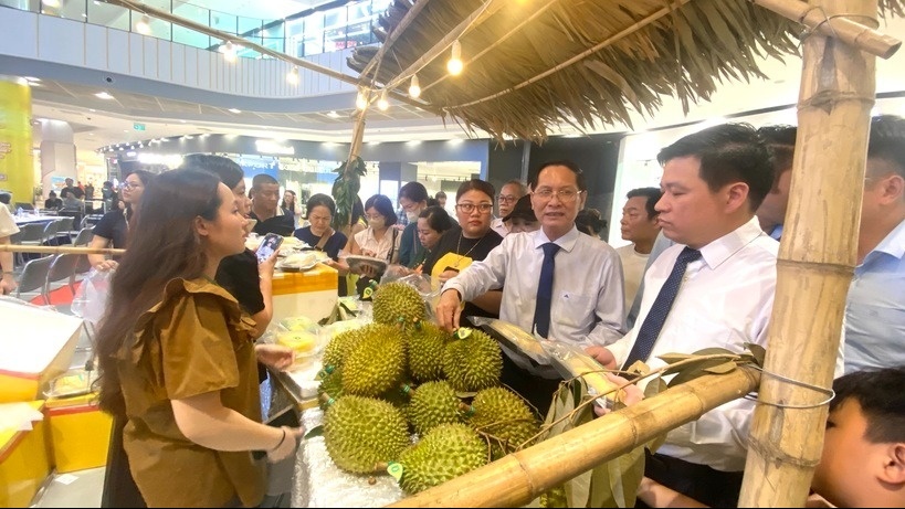Người dân Hải Phòng đổ xô đi ăn sầu riêng sạch được ship thẳng bằng máy bay từ Cần Thơ ra