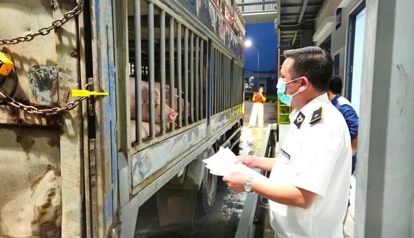 Hà Nội đột xuất kiểm tra nhà máy giết mổ của C.P. Việt Nam ngay trong đêm