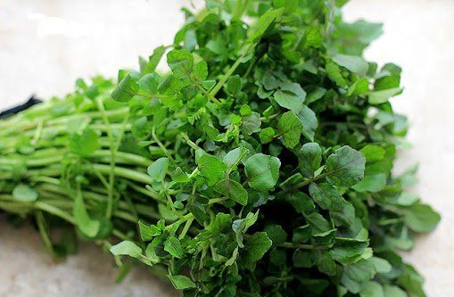 CDC Mỹ chấm 100/100 điểm dinh dưỡng cho loại rau này: Chợ Việt bán đầy 'rẻ đến khó tin', nhiều người không biết mà ăn