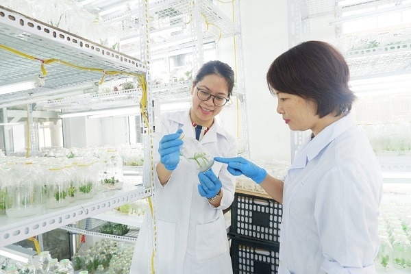 Ngành học đóng vai trò then chốt, ‘nóng’ không kém y, dược nhưng đang bị ‘ngó lơ’: Ra trường lương tới 30 triệu/tháng, vẫn hiếm sinh viên