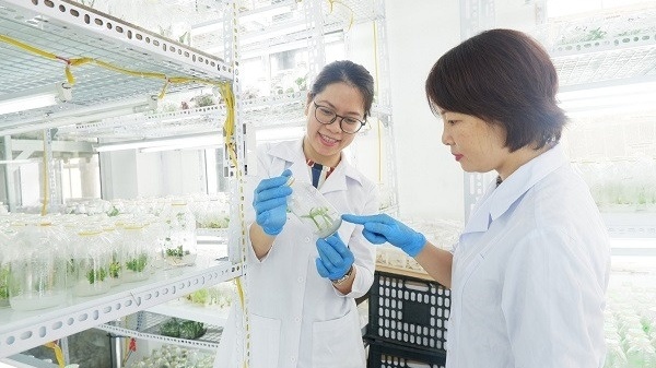 Ngành học đóng vai trò then chốt, ‘nóng’ không kém y, dược nhưng đang bị ‘ngó lơ’: Ra trường lương tới 30 triệu/tháng, vẫn hiếm sinh viên