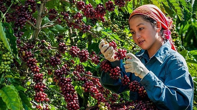EU và Mỹ tăng mua mạnh, kim ngạch xuất khẩu mặt hàng chủ lực này của Việt Nam tăng kỷ lục
