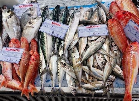Không phải tôm hay cá basa, siêu thực phẩm Việt bất ngờ làm mưa làm gió ở Bồ Đào Nha