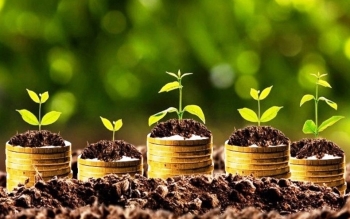 Lịch chốt quyền cổ tức bằng tiền tuần từ 16-20/6: Xuất hiện 9 doanh nghiệp thanh toán tỷ lệ hàng chục %