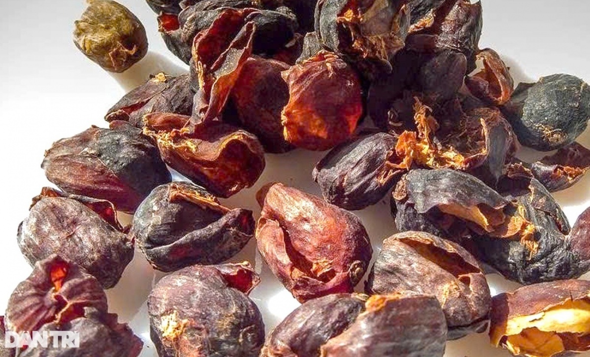 Nông dân Lâm Đồng linh hoạt dùng thứ bỏ đi của cây tỷ đô để thành thức uống, giá bán 800.000 đồng/kg: Sản xuất đến đâu được bao tiêu sạch