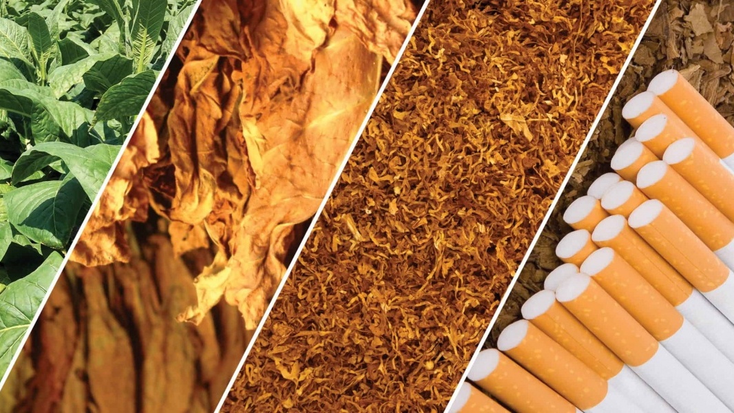 Doanh nghiệp thuốc lá lớn nhất Việt Nam đạt doanh thu kỷ lục, mỗi ngày thu về 4 tỷ lợi nhuận