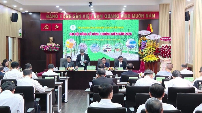 GVR sắp sở hữu nông trường cao su rộng hơn diện tích Hà Nội, đặt cược vào chu kỳ tăng giá mới