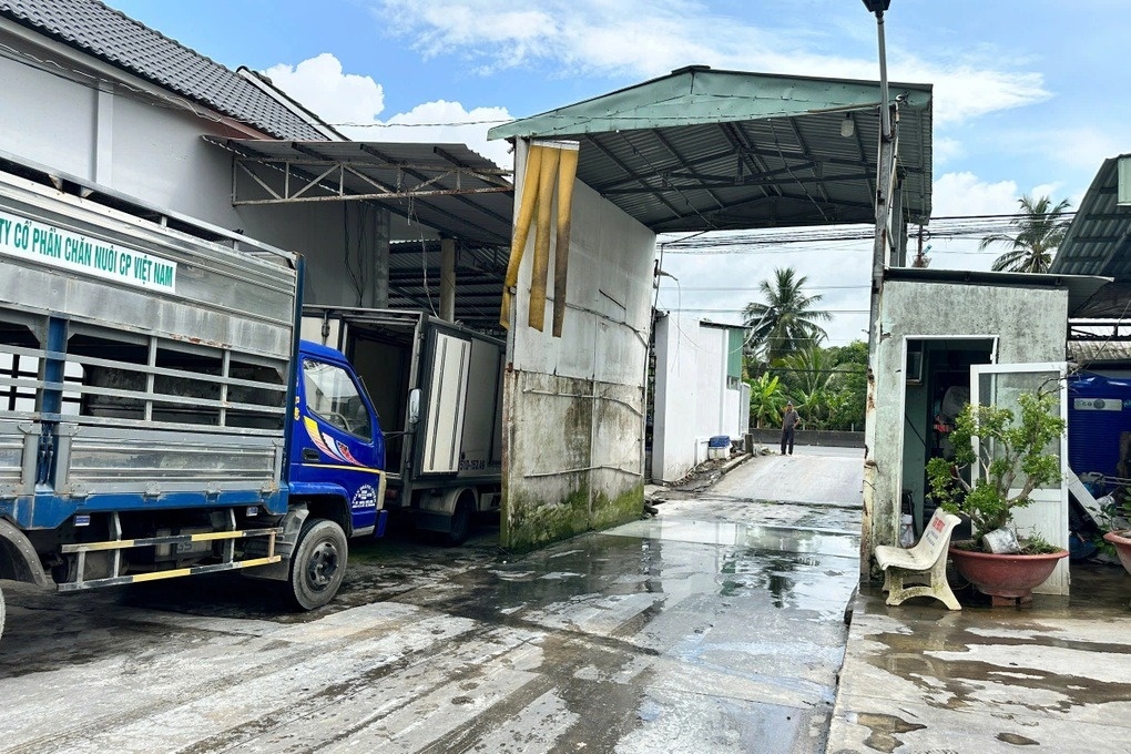 Lò mổ nhỏ quy mô 20 con/ngày đã 'gia công hơn 20.000 con heo' cho công ty C.P. Việt Nam trong 12 tháng bằng cách nào?