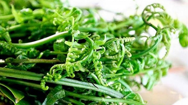 Rau dại mọc bờ bụi xưa ít ai ăn, nay được săn lùng vì hương vị lạ: Người Trung Quốc gọi là 'rau trường thọ', giá cao bất ngờ