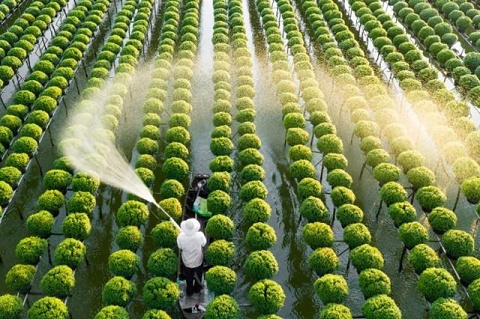 3 ngành học triển vọng tại Việt Nam: Ra trường dễ có việc, thu nhập đáng mơ ước