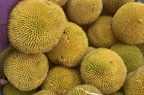 Loại quả nhỏ xíu từng bị lãng quên, nay thành đặc sản mùa hè gây 'sốt' ở thành phố: Vị chua ngọt hấp dẫn, giá tới 90.000 đồng/kg