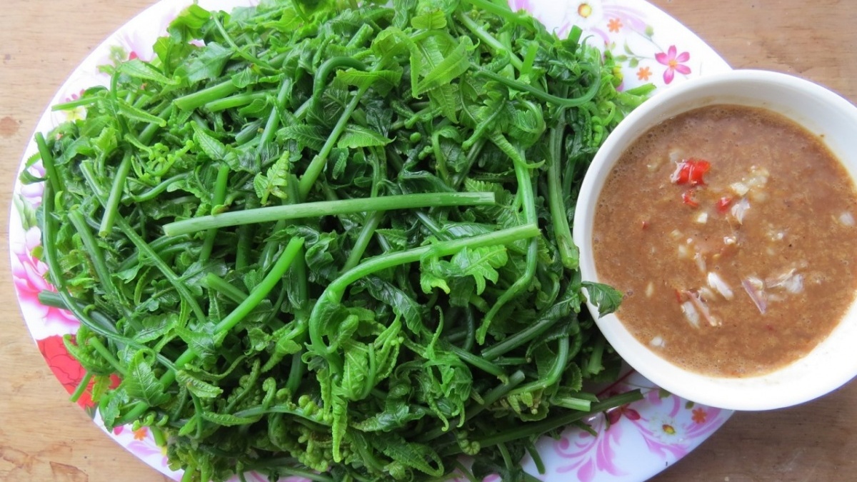 Loại rau mọc đầy rừng Việt Nam, tốt ngang nhân sâm, giá tương đương thịt bò loại ngon, người Trung Quốc săn lùng từng bó