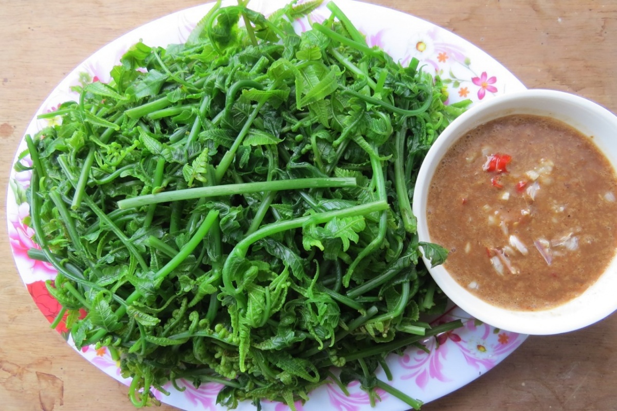 Loại rau mọc đầy rừng Việt Nam, tốt ngang nhân sâm, giá tương đương thịt bò loại ngon, người Trung Quốc săn lùng từng bó