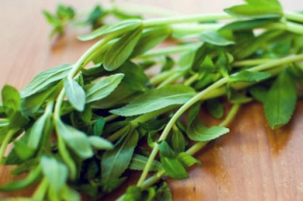 Loại rau mọc hoang có hương vị 'bùng nổ', người Việt ai cũng mê: Bán đầy chợ, giá rẻ đến bất ngờ