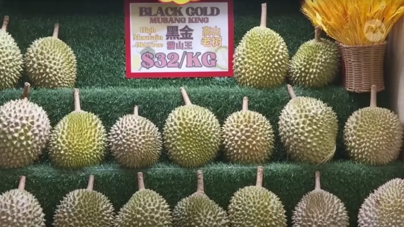 Xuất hiện thánh địa sầu riêng nơi giá giảm tới 30%, các giống sầu Malaysia đang là bá chủ