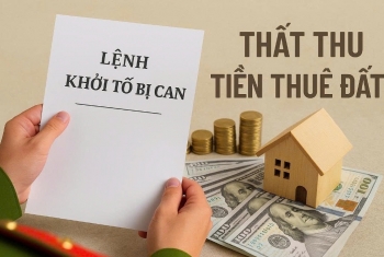 Gây thất thoát lớn vì không thu tiền thuê đất, nguyên Chủ tịch doanh nghiệp bị khởi tố
