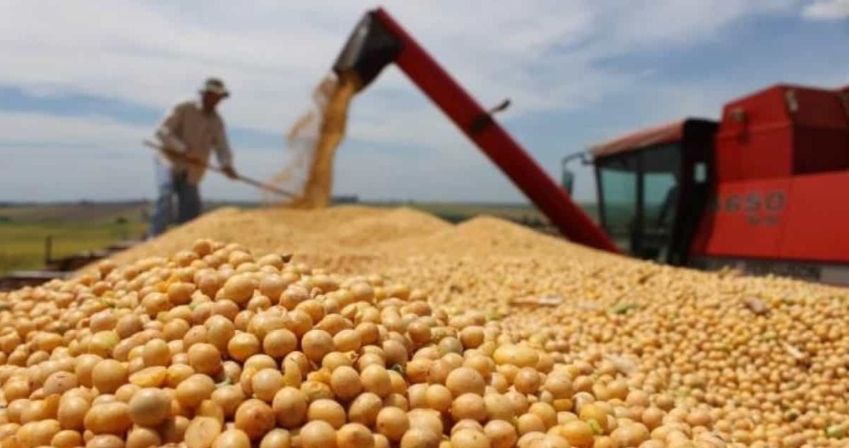 Nếu Trung Quốc giảm nhập khẩu 1 mặt hàng, áp lực không chỉ dồn lên nông dân Mỹ mà còn hàng loạt thị trường lớn bị ảnh hưởng