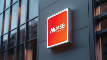 6.500 tỷ đổ vào MSB: Vì sao loạt tổ chức quốc tế chọn mặt gửi vàng?
