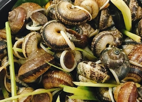 Từ món quà sau mưa đến đặc sản phố thị: 'Lộc trời' giá tới 100.000 đồng/kg, vị lạ miệng, hút khách sành ăn