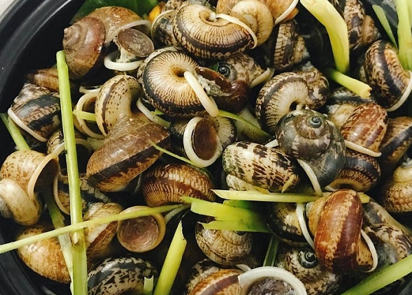 Từ món quà sau mưa đến đặc sản phố thị: 'Lộc trời' giá tới 100.000 đồng/kg, vị lạ miệng, hút khách sành ăn