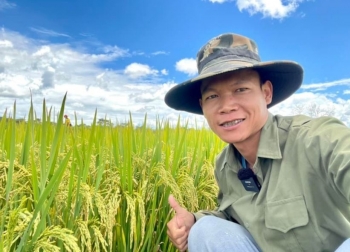 Giám đốc Sở Nông nghiệp Huambo - Angola đích thân đến khảo sát mô hình trồng lúa nước của team châu Phi