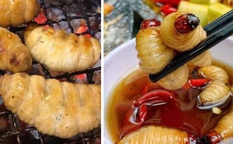 Đặc sản Cà Mau trông sợ 'chết khiếp' nhưng hương vị 'có một không hai', càng ăn càng nghiện: Giá đắt đỏ vẫn được săn lùng
