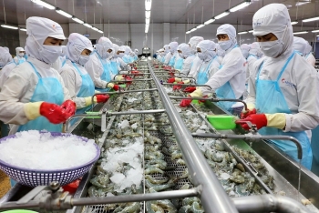 Thoát đòn thuế Mỹ, ông lớn thủy sản lên kế hoạch lãi nghìn tỷ sau 2 năm thua lỗ