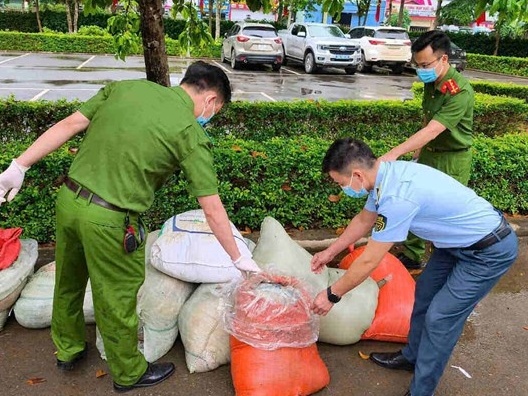 Sơn La: Xe khách chở 883kg nội tạng động vật hôi thối bị phát hiện trên đường mang đi tiêu thụ