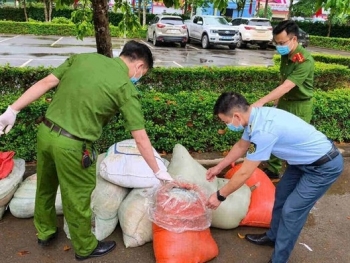 Sơn La: Xe khách chở 883kg nội tạng động vật hôi thối bị phát hiện trên đường mang đi tiêu thụ