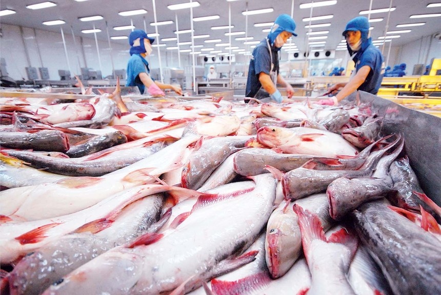 Mỹ miễn thuế xuất khẩu cho thêm 6 doanh nghiệp cá tra ở Việt Nam