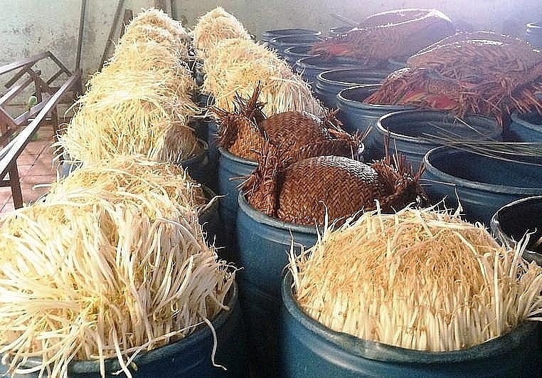Bách Hóa Xanh mở thêm 410 cửa hàng bất chấp nỗi lo nhà cung cấp 'dở chứng'