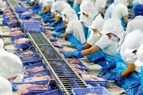 'Kho báu dưới nước' của Việt Nam gây sốt toàn cầu: 5 tháng thu về hơn 4,34 tỷ USD, Mỹ – Trung – Nhật đều mê