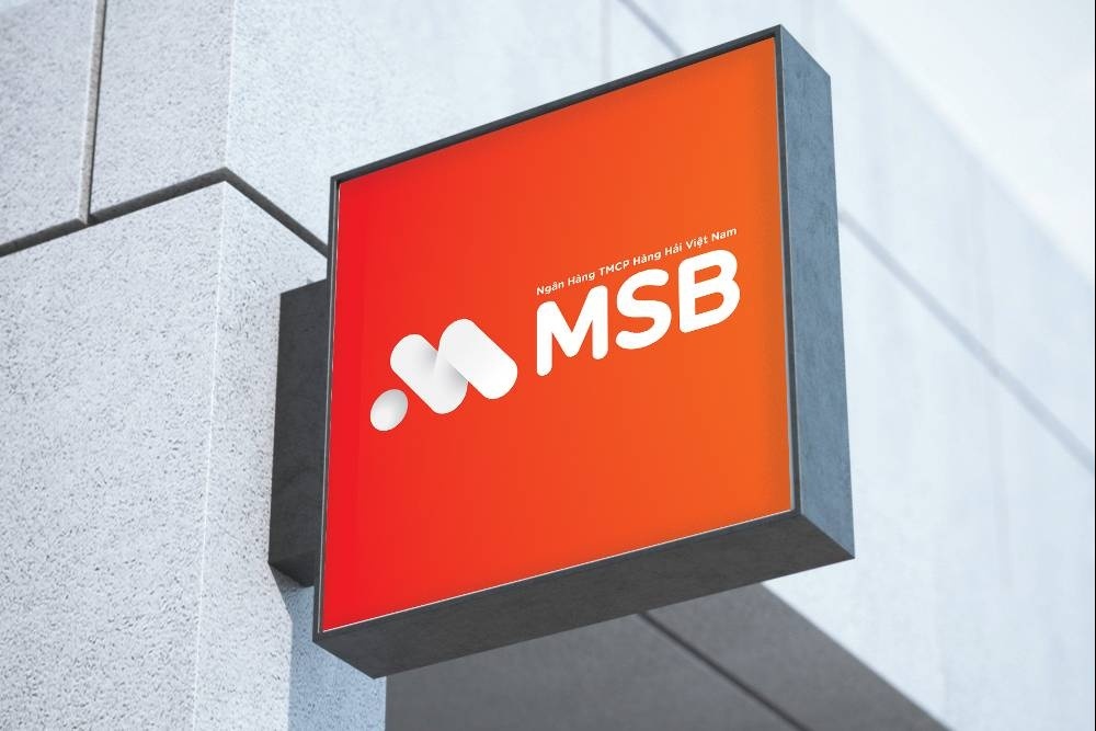 Giá chưa đủ hấp dẫn, công ty Nhà nước tạm hoãn thoái vốn tại MSB