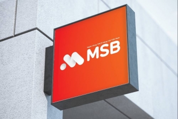 Giá chưa đủ hấp dẫn, công ty Nhà nước tạm hoãn thoái vốn tại MSB