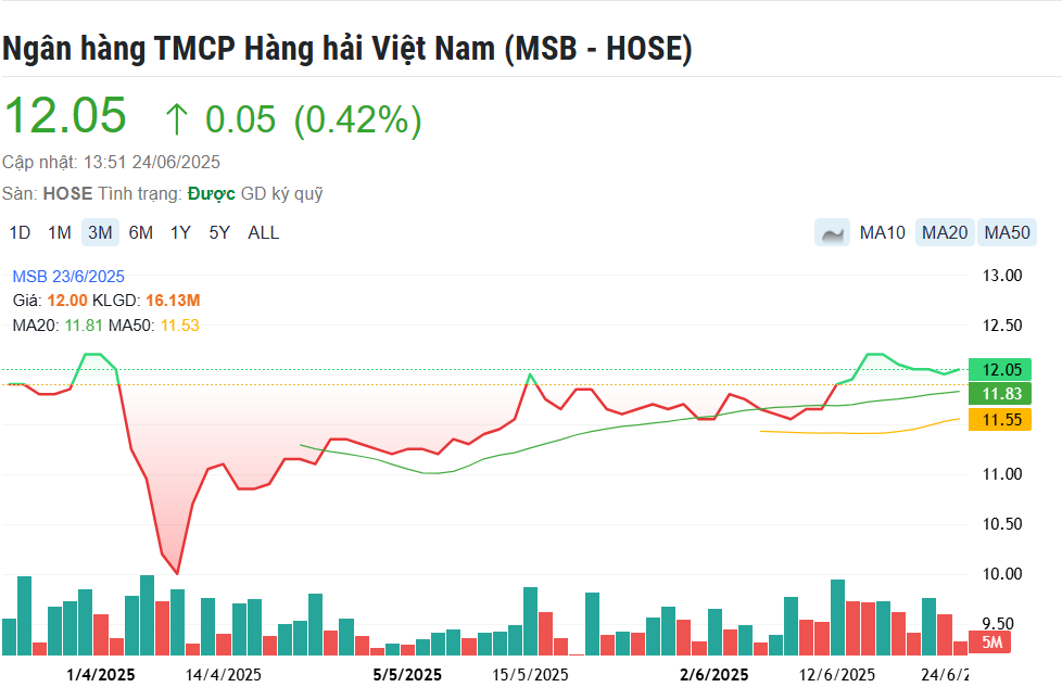 Giá chưa đủ hấp dẫn, công ty Nhà nước tạm hoãn thoái vốn tại MSB