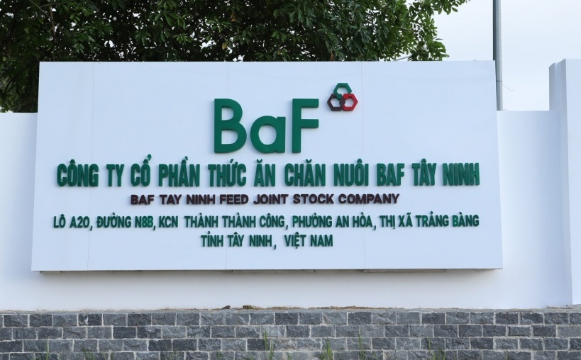 Hiệu suất sinh lời áp đảo VN-Index, quỹ ETF vừa thêm món chính BAF vào thực đơn