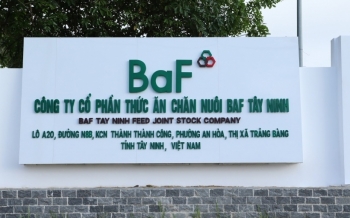 Hiệu suất sinh lời áp đảo VN-Index, quỹ ETF vừa thêm món chính BAF vào thực đơn
