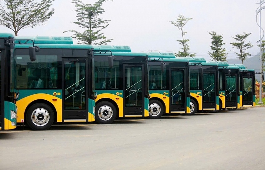Phương Trang vừa trúng gói thầu lớn tại TP. HCM, được khai thác 557 xe buýt