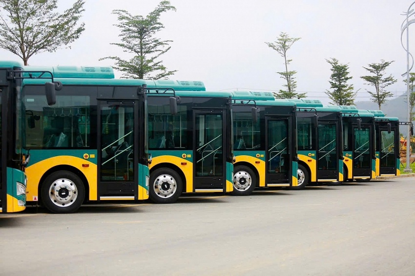 Phương Trang vừa trúng gói thầu lớn tại TP. HCM, được khai thác 557 xe buýt