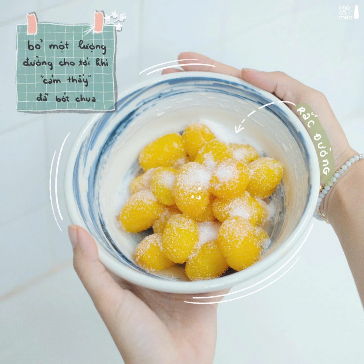 Từng bị coi là 'quả dại', giờ thành hàng hot mỗi hè giá 60.000 đồng/kg vẫn cháy hàng