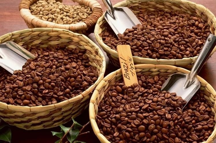 Cà phê toàn cầu vừa có pha hồi phục ngoạn mục: Địa chính trị và dòng tiền xoay hướng?