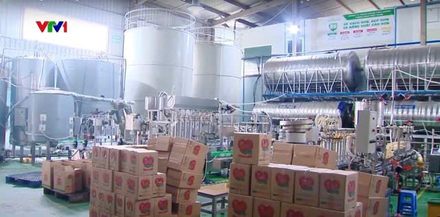 Cận cản quy trình tái chế dầu thức ăn chăn nuôi 'phù phép' thành dầu ăn Ofood cho người tại Nhật Minh Food