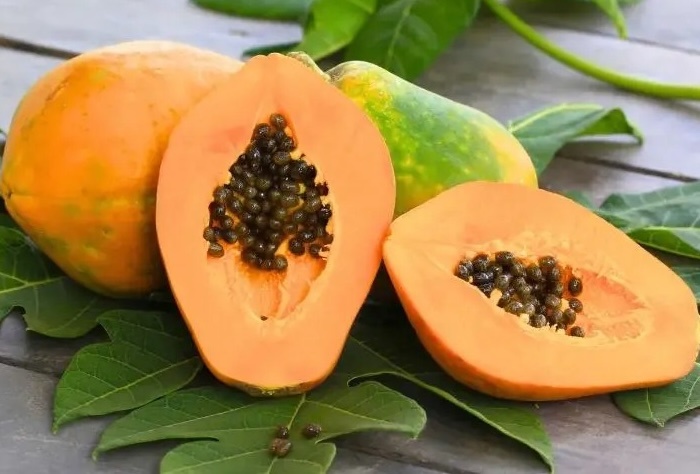 Nông dân Bà Rịa-Vũng Tàu ‘lên như diều gặp gió’ nhờ trồng loại cây dễ chăm, thu hoạch quanh năm: Lãi lên tới 500 triệu đồng/1ha