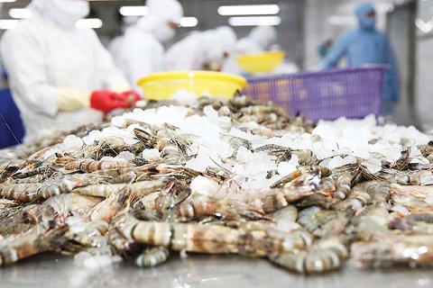 Việt Nam bỏ túi hơn 1,7 tỷ USD từ 'mỏ vàng' xuất khẩu: Mỹ, Trung Quốc đua nhau săn mua