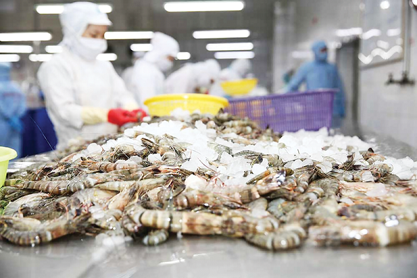 Việt Nam bỏ túi hơn 1,7 tỷ USD từ 'mỏ vàng' xuất khẩu: Mỹ, Trung Quốc đua nhau săn mua
